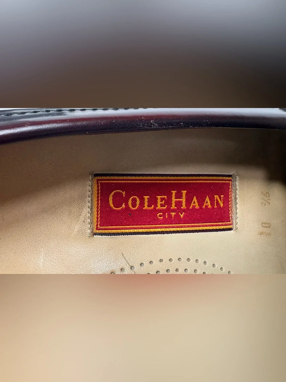 Cole Haan Preppy Acadamia Men's Tasseled Loafers